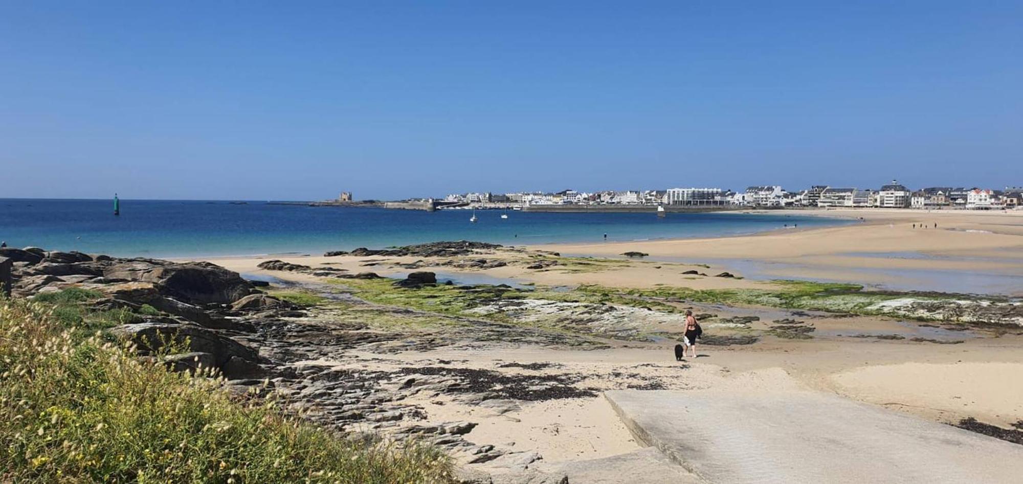 Appartement Ty Cosy Quiberon Eksteriør billede